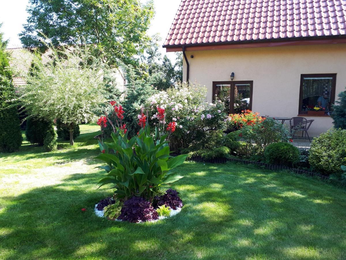 agroturystyka Drużno Elbląg Zewnętrze zdjęcie
