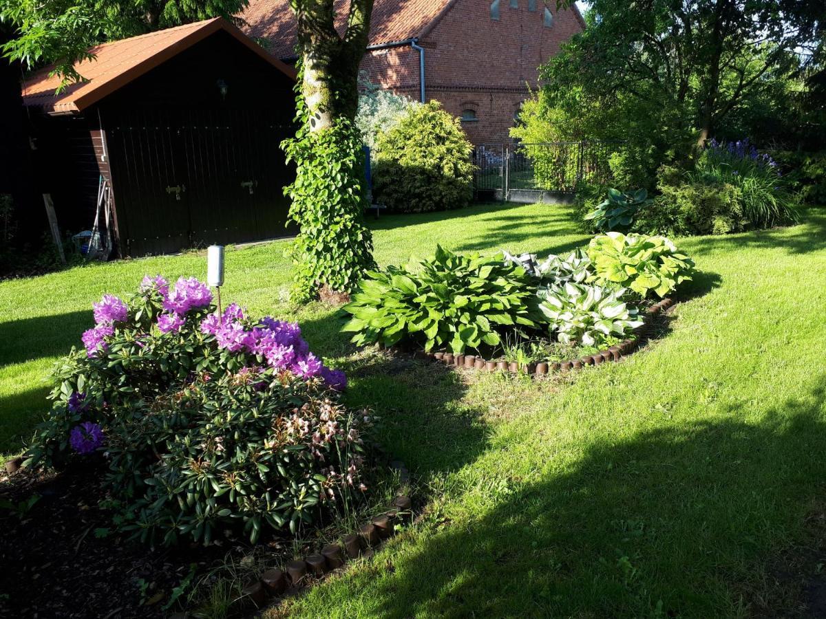 agroturystyka Drużno Elbląg Zewnętrze zdjęcie